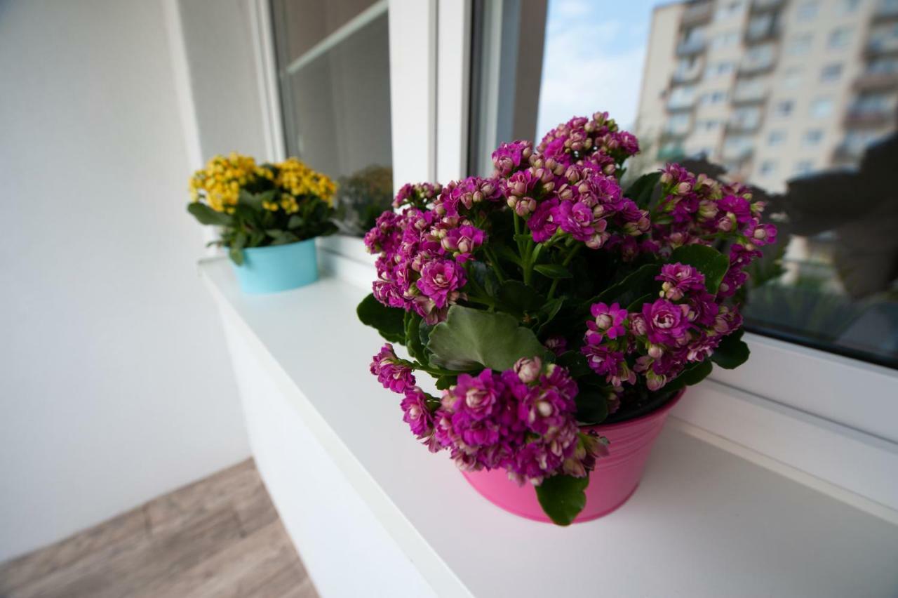 Time For You Apartments 1 Λοτζ Εξωτερικό φωτογραφία